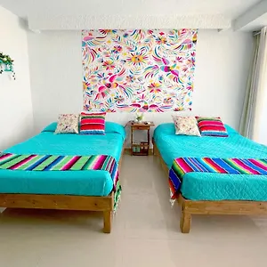  Apartamento Renovated In At The Zone